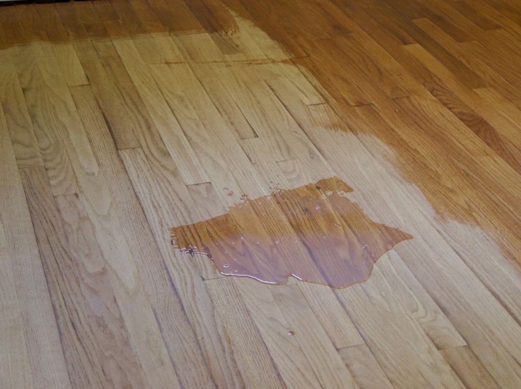 Hardwood Floor Refinishing Vs Buffing